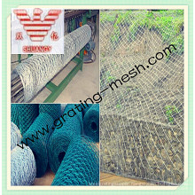 Hexagonal Mesh/Gabion Box/Gabion with Lowest Price